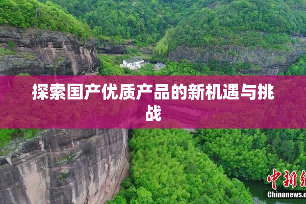 探索国产优质产品的新机遇与挑战
