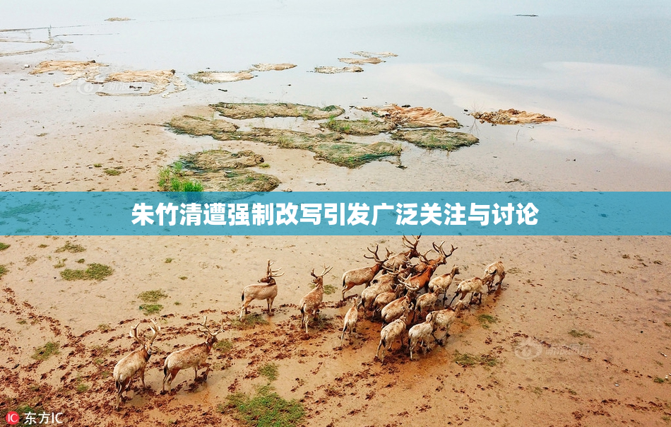 朱竹清遭强制改写引发广泛关注与讨论