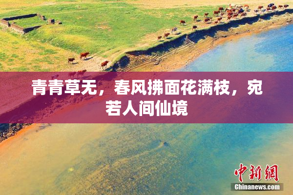 青青草无，春风拂面花满枝，宛若人间仙境