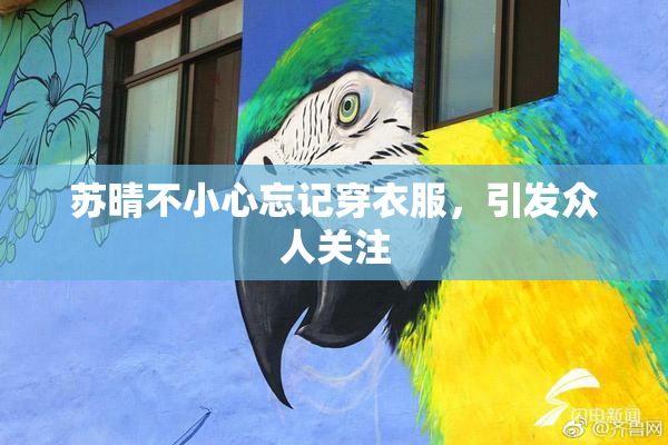 苏晴不小心忘记穿衣服，引发众人关注