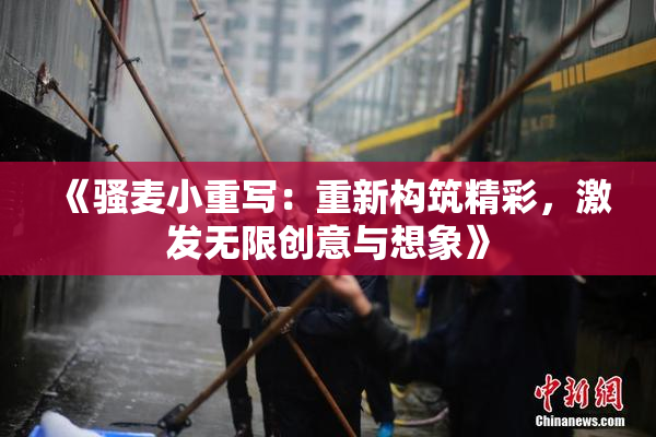 《骚麦小重写：重新构筑精彩，激发无限创意与想象》