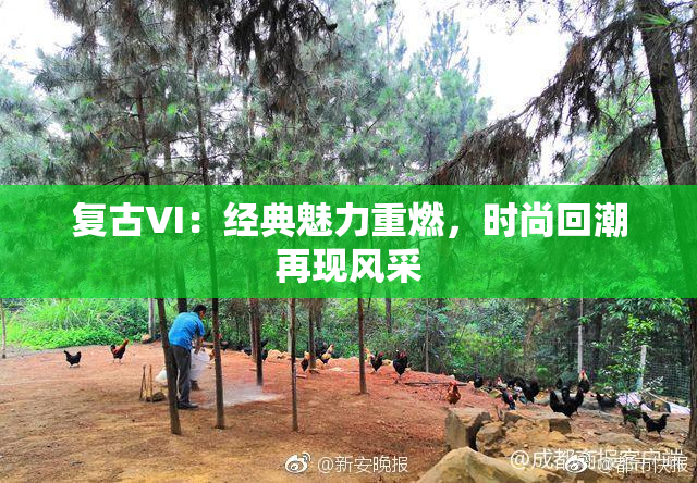 复古VI：经典魅力重燃，时尚回潮再现风采