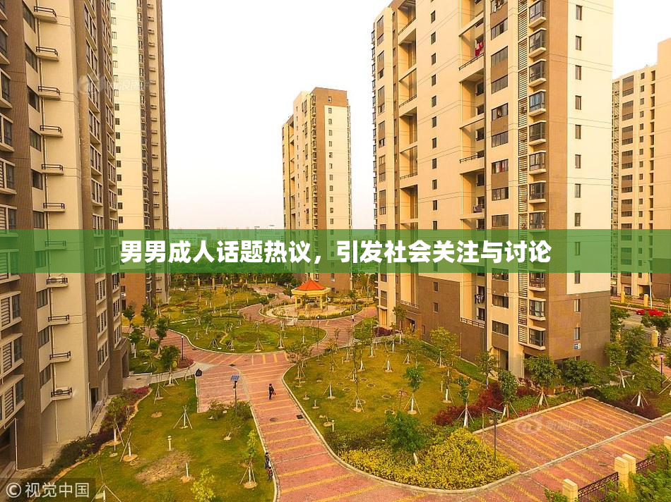 男男成人话题热议，引发社会关注与讨论