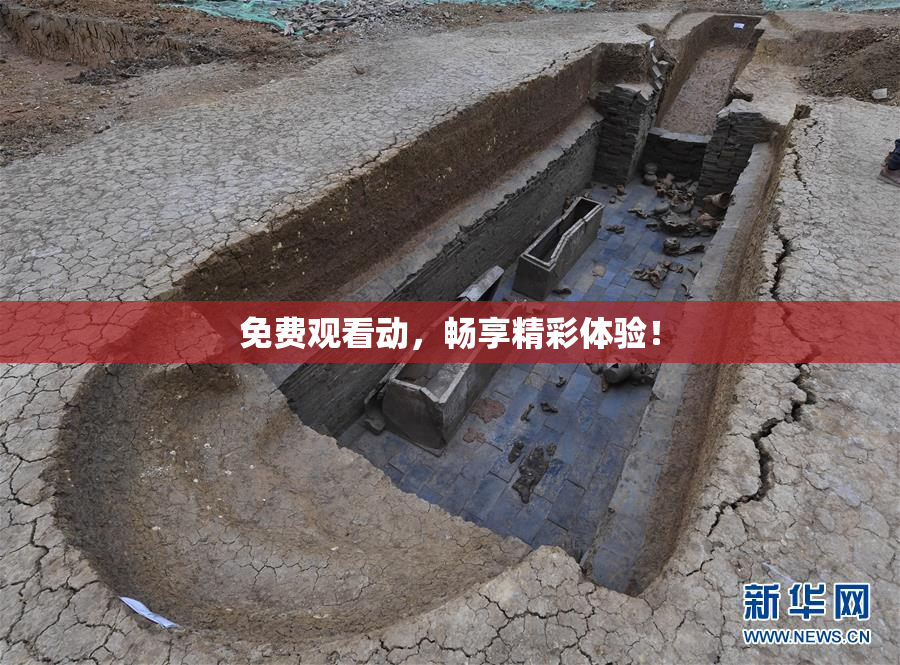 免费观看动，畅享精彩体验！