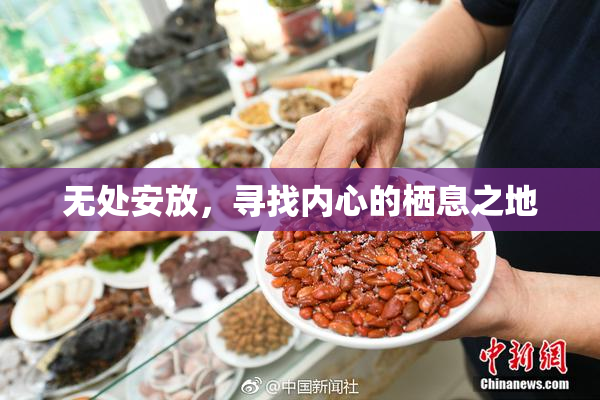 无处安放，寻找内心的栖息之地