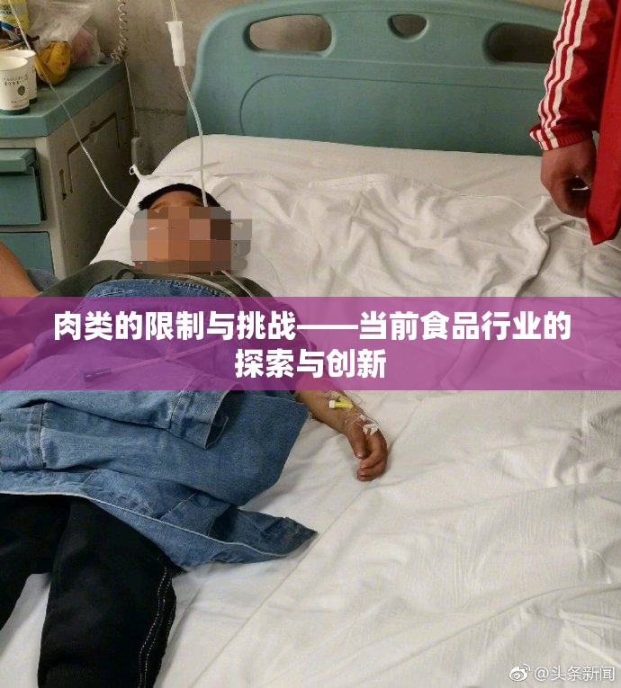 肉类的限制与挑战——当前食品行业的探索与创新