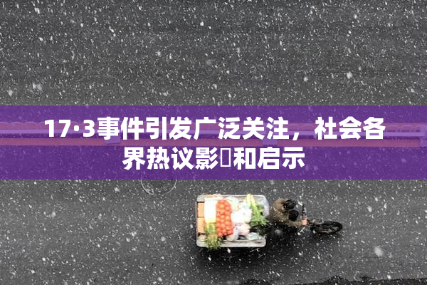 17·3事件引发广泛关注，社会各界热议影響和启示