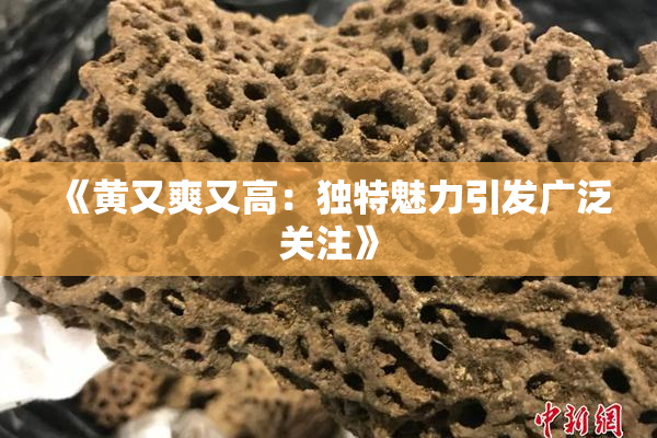 《黄又爽又高：独特魅力引发广泛关注》