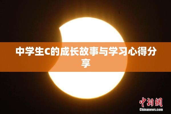 中学生C的成长故事与学习心得分享