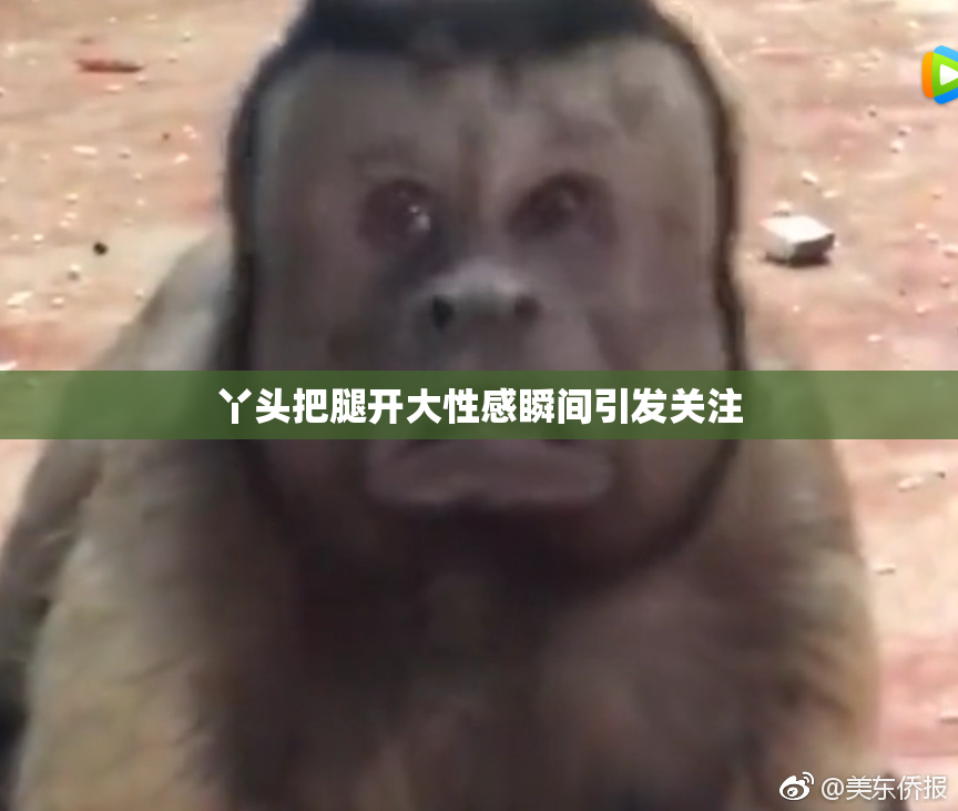 丫头把腿开大性感瞬间引发关注