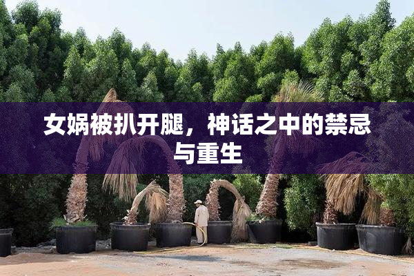 女娲被扒开腿，神话之中的禁忌与重生