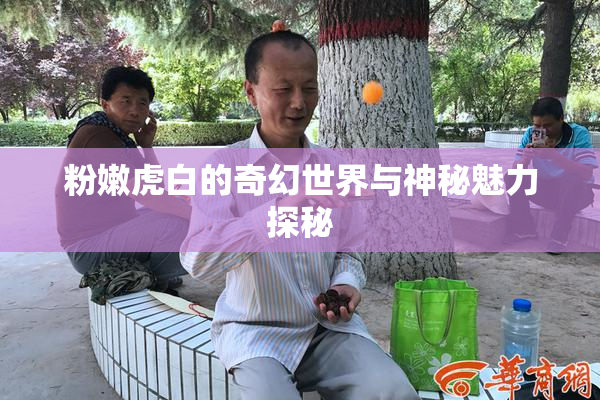 粉嫩虎白的奇幻世界与神秘魅力探秘