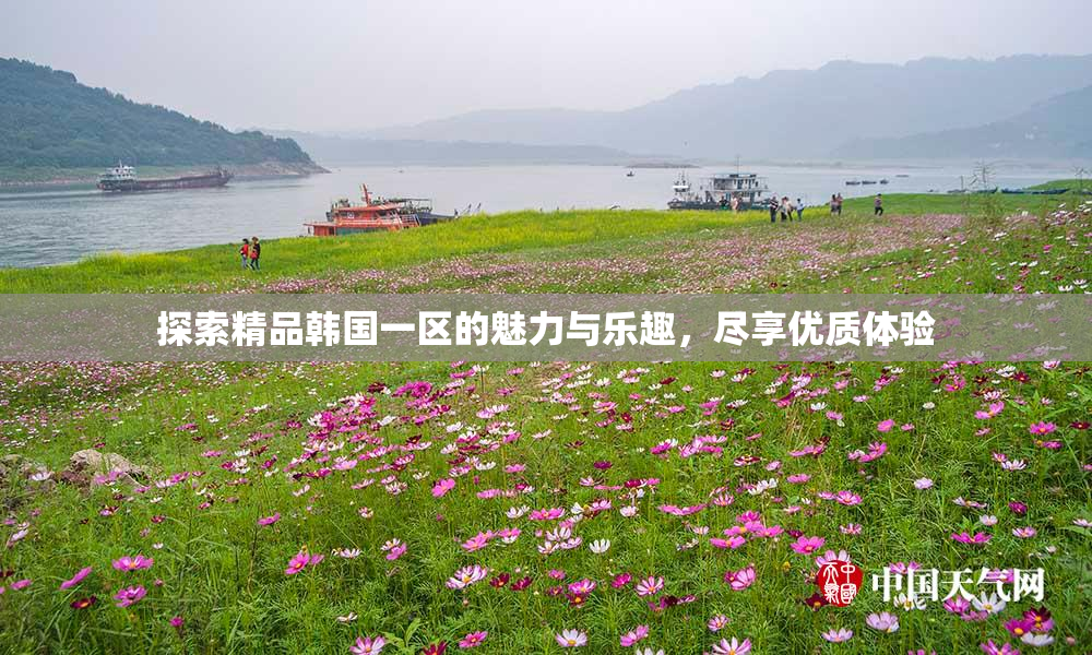 探索精品韩国一区的魅力与乐趣，尽享优质体验