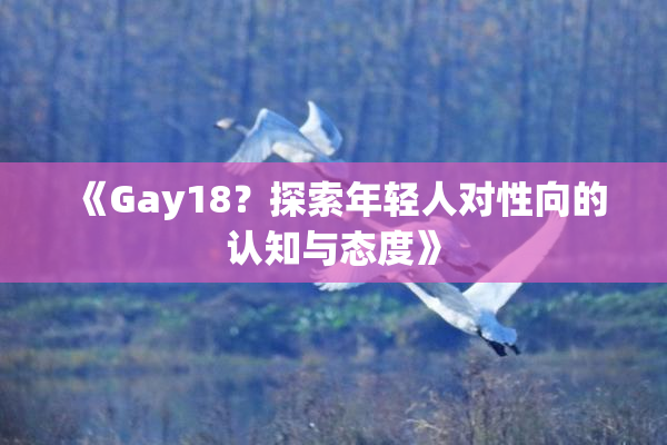 《Gay18？探索年轻人对性向的认知与态度》