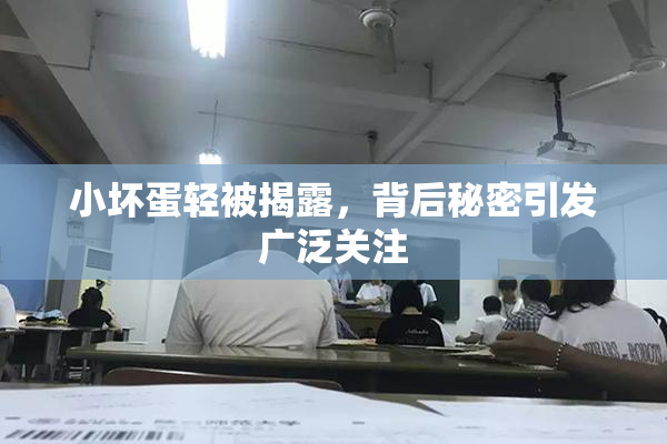 小坏蛋轻被揭露，背后秘密引发广泛关注