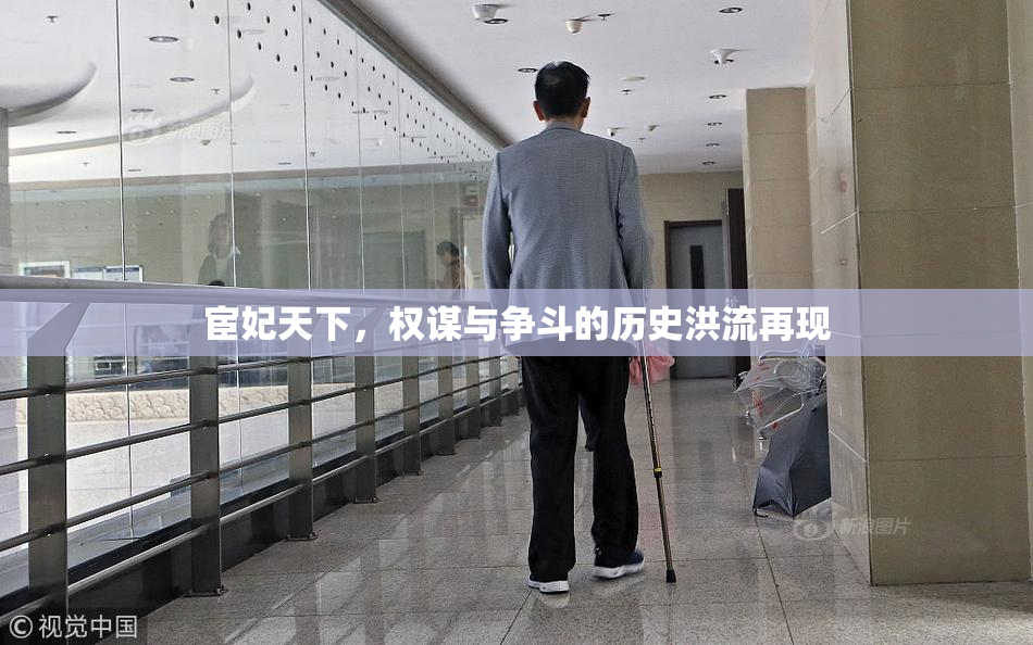 宦妃天下，权谋与争斗的历史洪流再现