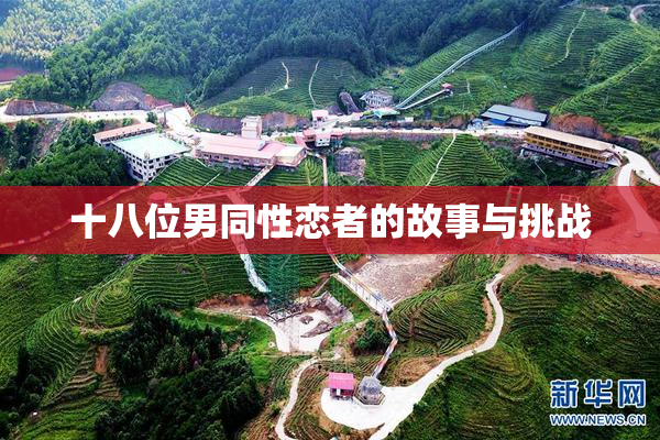 十八位男同性恋者的故事与挑战