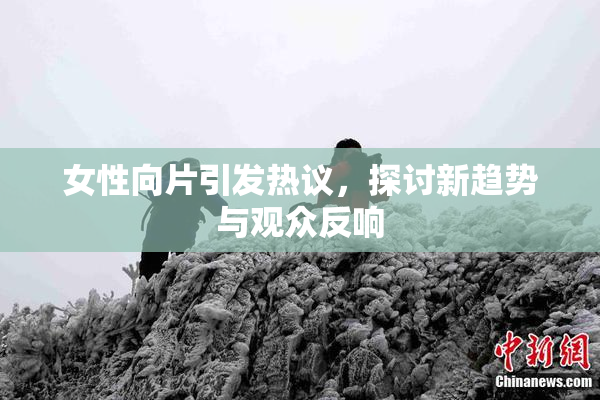 女性向片引发热议，探讨新趋势与观众反响