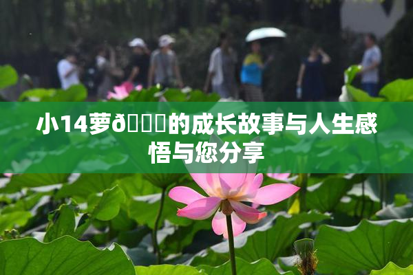 小14萝🔞的成长故事与人生感悟与您分享