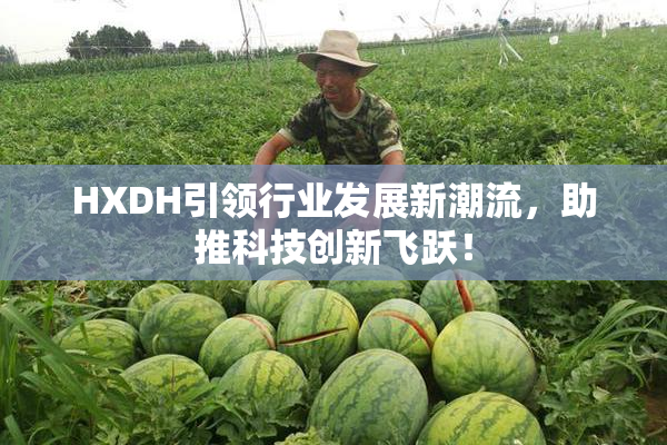 HXDH引领行业发展新潮流，助推科技创新飞跃！