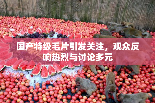 国产特级毛片引发关注，观众反响热烈与讨论多元