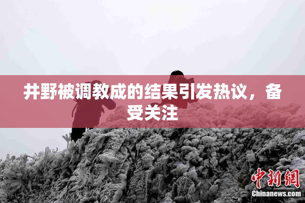 井野被调教成的结果引发热议，备受关注
