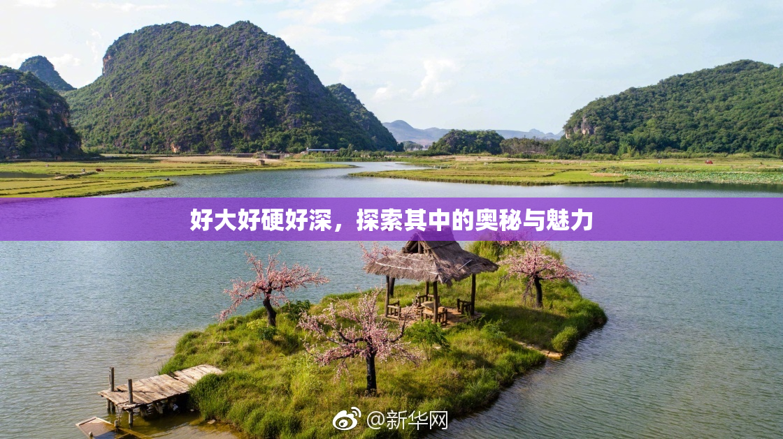 好大好硬好深，探索其中的奥秘与魅力