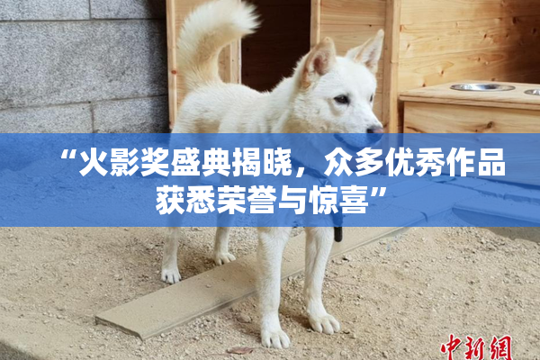 “火影奖盛典揭晓，众多优秀作品获悉荣誉与惊喜”