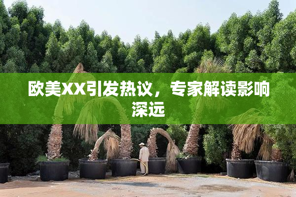 欧美XX引发热议，专家解读影响深远
