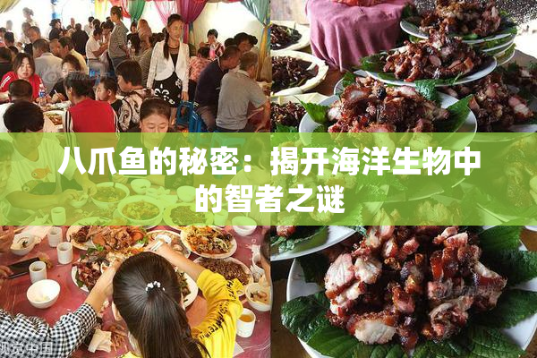 八爪鱼的秘密：揭开海洋生物中的智者之谜
