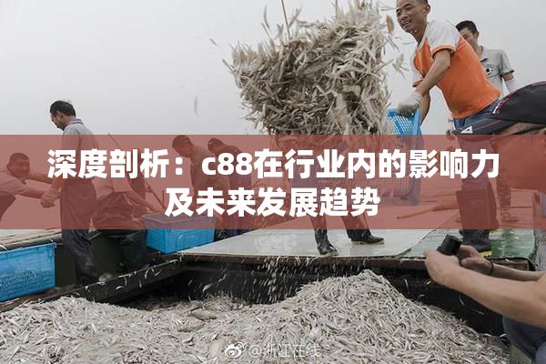 深度剖析：c88在行业内的影响力及未来发展趋势