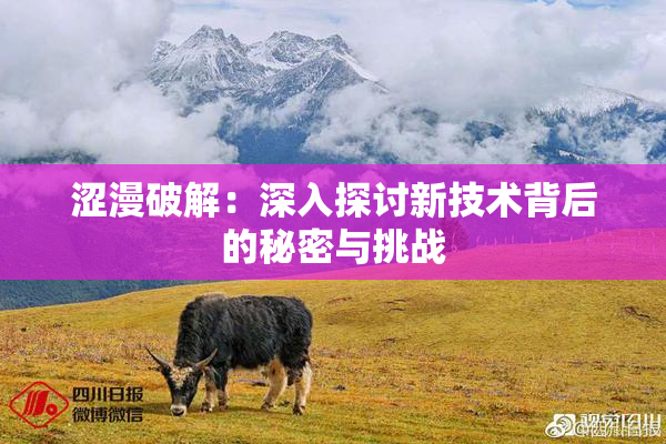 涩漫破解：深入探讨新技术背后的秘密与挑战
