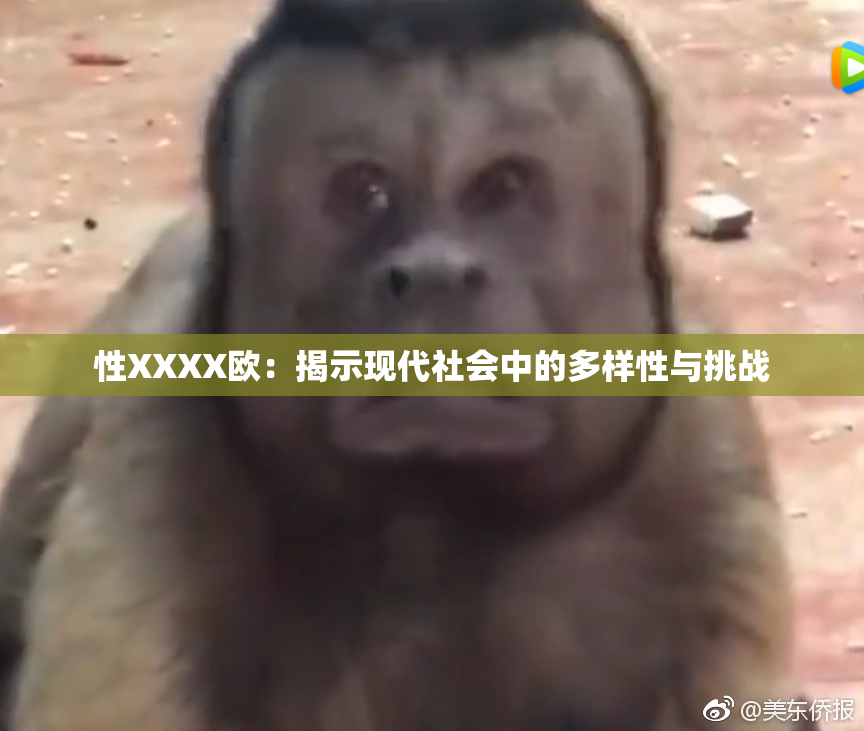 性XXXX欧：揭示现代社会中的多样性与挑战