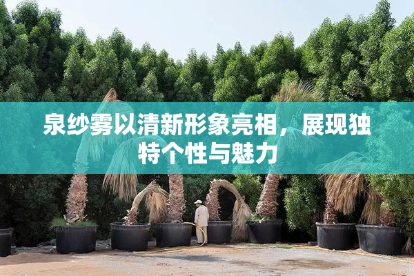 泉纱雾以清新形象亮相，展现独特个性与魅力
