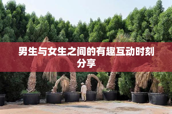男生与女生之间的有趣互动时刻分享