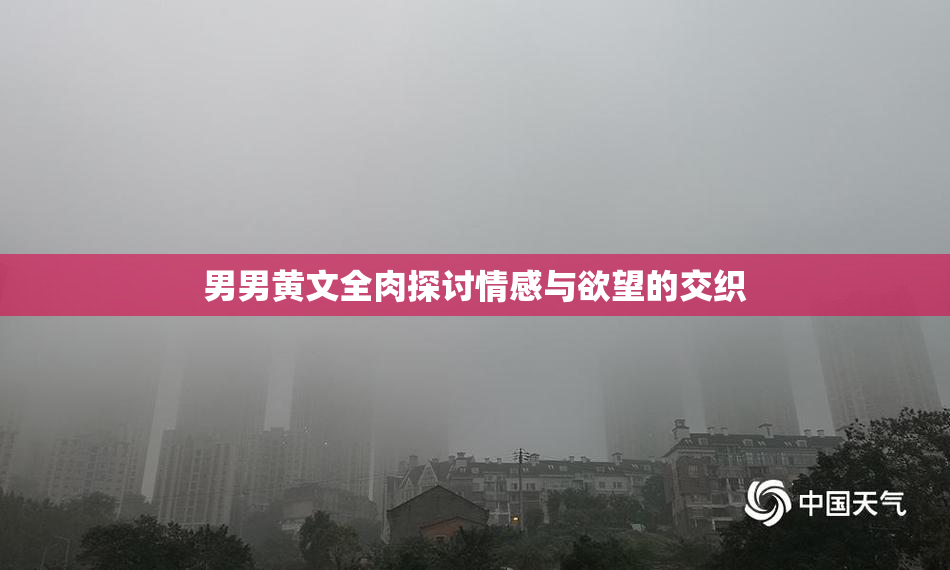 男男黄文全肉探讨情感与欲望的交织