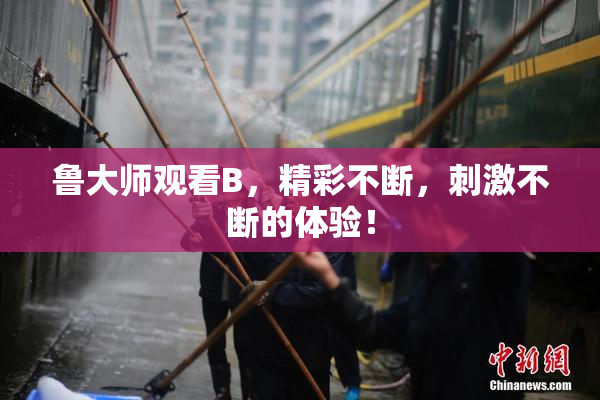 鲁大师观看B，精彩不断，刺激不断的体验！
