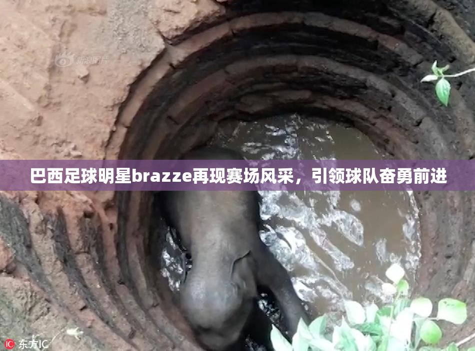 巴西足球明星brazze再现赛场风采，引领球队奋勇前进