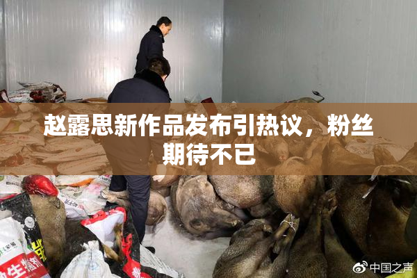 赵露思新作品发布引热议，粉丝期待不已