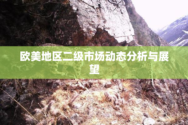 欧美地区二级市场动态分析与展望