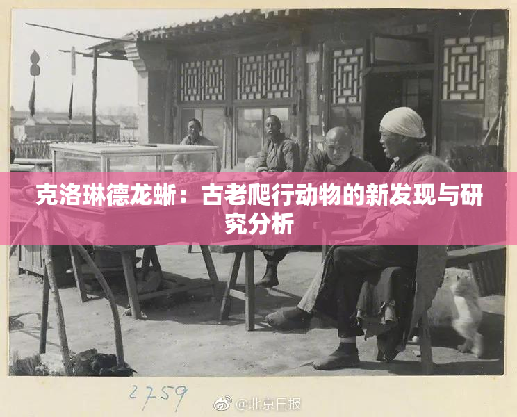 克洛琳德龙蜥：古老爬行动物的新发现与研究分析
