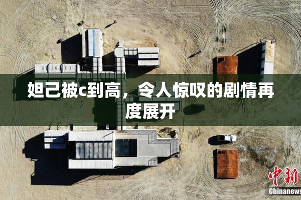 妲己被c到高，令人惊叹的剧情再度展开