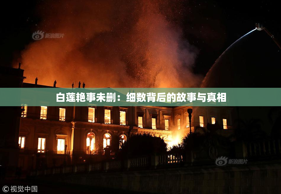 白莲艳事未删：细数背后的故事与真相