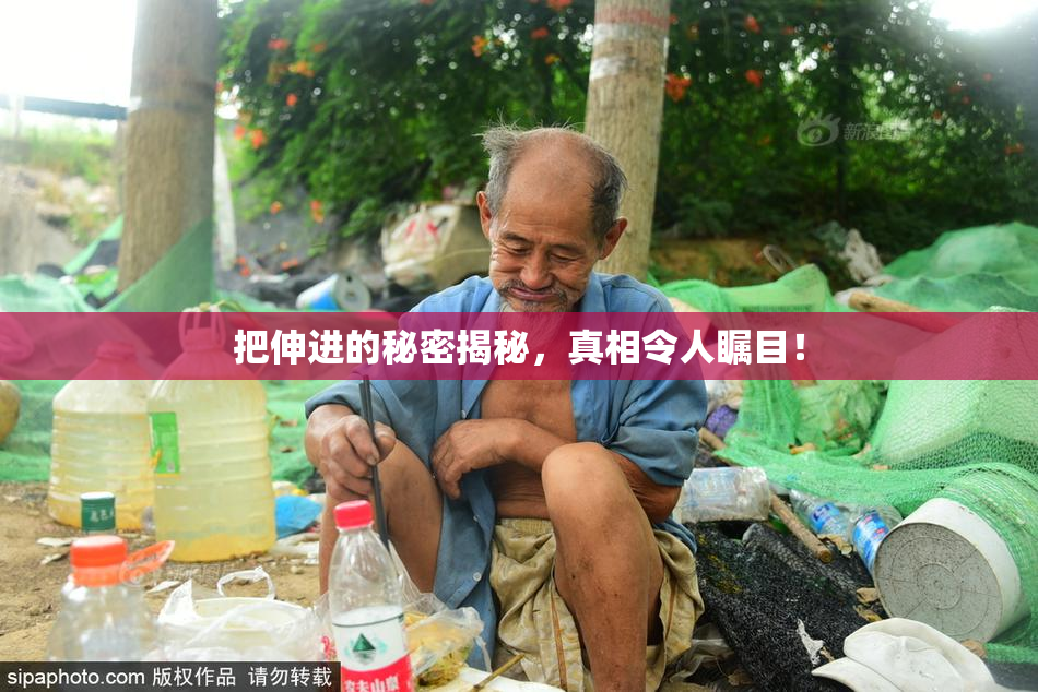 把伸进的秘密揭秘，真相令人瞩目！
