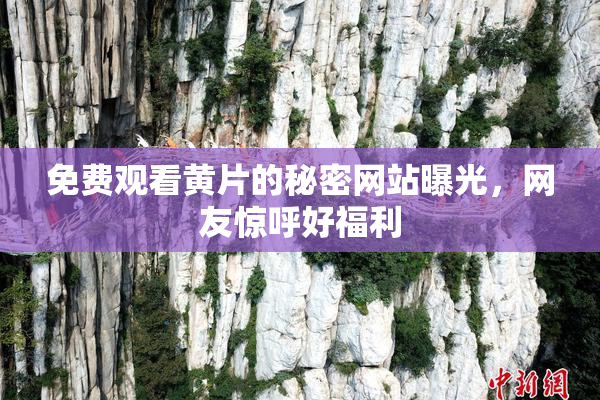 免费观看黄片的秘密网站曝光，网友惊呼好福利