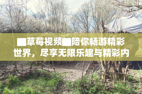 ▇草莓视频▇陪你畅游精彩世界，尽享无限乐趣与精彩内容！