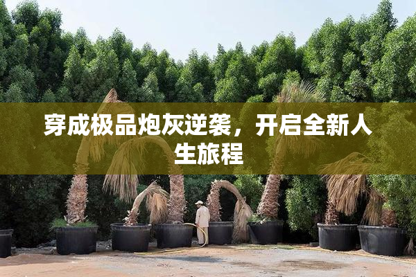 穿成极品炮灰逆袭，开启全新人生旅程