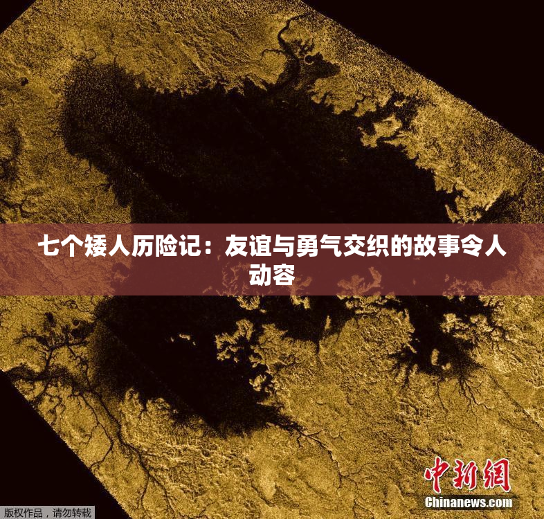 七个矮人历险记：友谊与勇气交织的故事令人动容