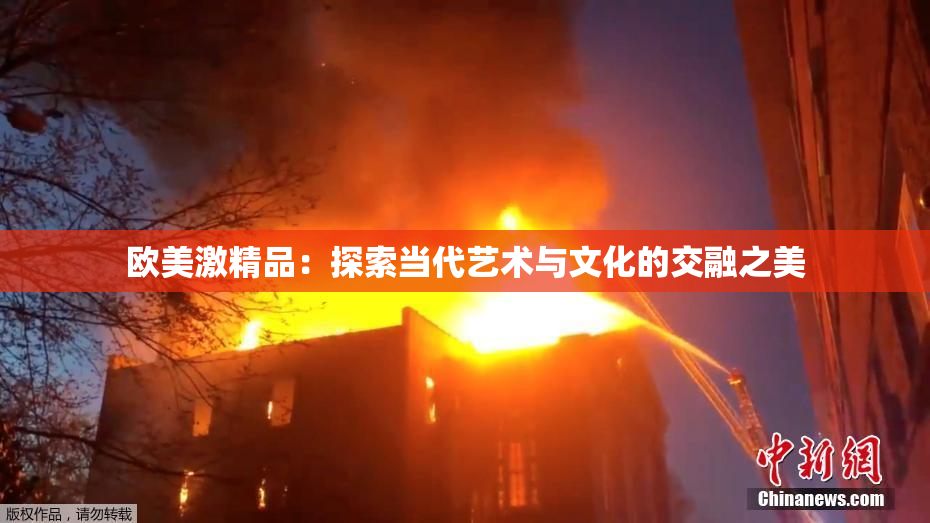 欧美激精品：探索当代艺术与文化的交融之美