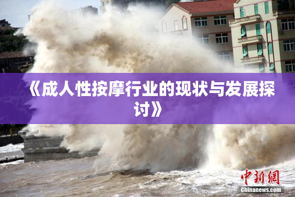 《成人性按摩行业的现状与发展探讨》